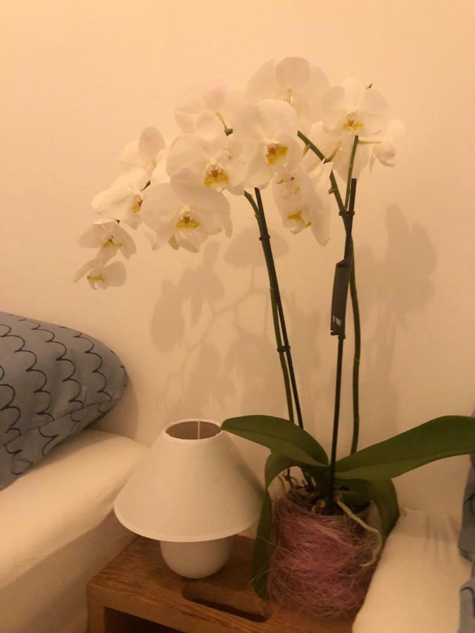 Dubrovnik Summer Industry Apartment Экстерьер фото